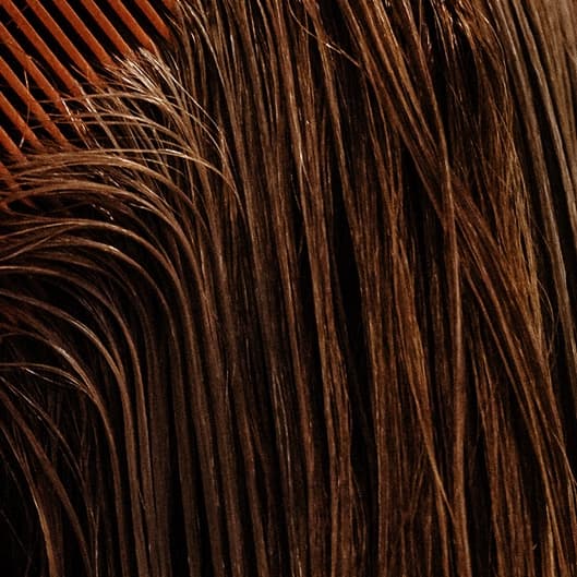 Extension 6 month at The Blonde Hair Co. in Soldotna, AK